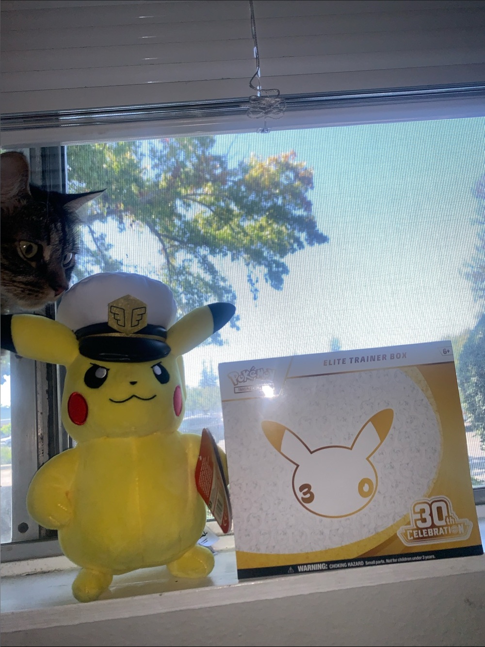 Pokémon 30th Celebration Elite Trainer Box (pikachu not included)!